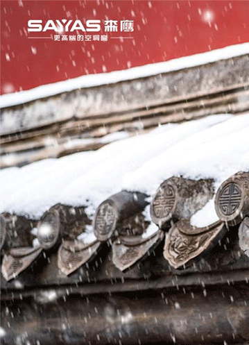 立冬后的初雪，開場(chǎng)即是巔峰！極端天氣下如何保護(hù)自己和家人？